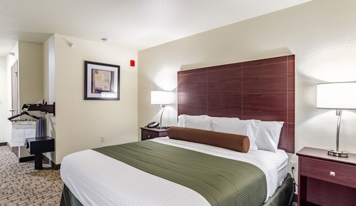 Room, 1 King Bed, Accessible, Non Smoking