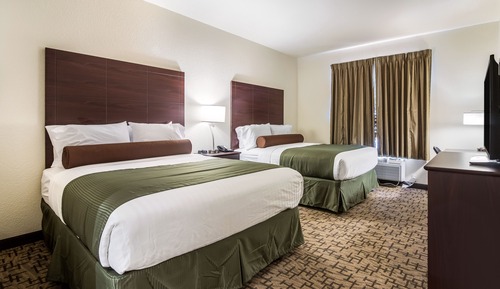 Studio, Multiple Beds, Non Smoking