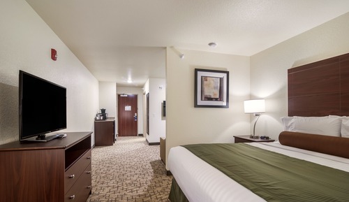 Studio Suite, 1 King Bed with Sofa bed, Accessible, Non Smoking