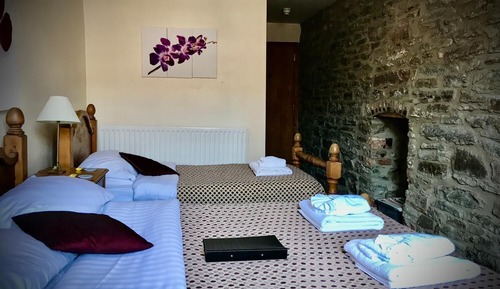 Standard Double or Twin Room