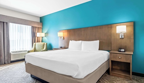 Standard Room, 1 King Bed, Accessible, Refrigerator & Microwave