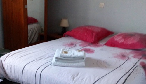 Premium Double Room