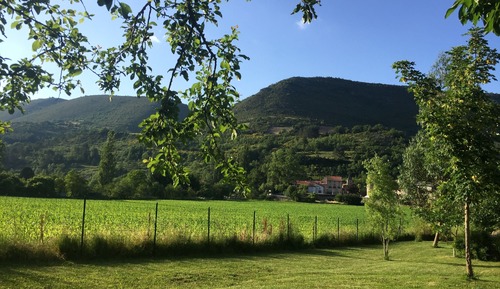 Family Room (Bambou)