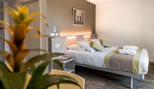 Superior Double or Twin Room, Accessible