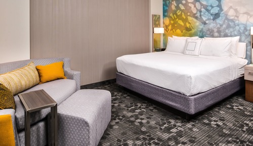 Room, 1 King Bed, Non Smoking
