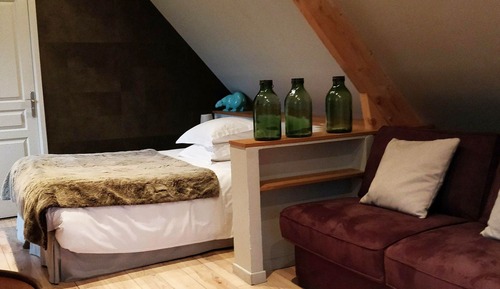 Junior Studio Suite (N105)