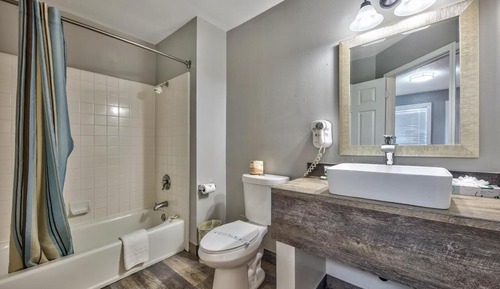 Standard Single Room, Multiple Beds