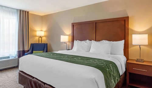 Standard Room, 1 King Bed, Non Smoking