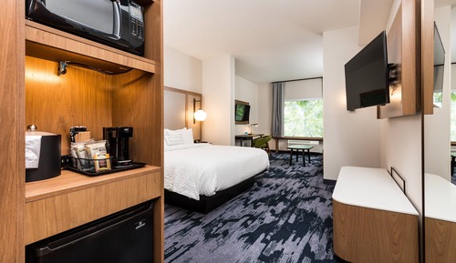 Suite, 1 King Bed with Sofa bed