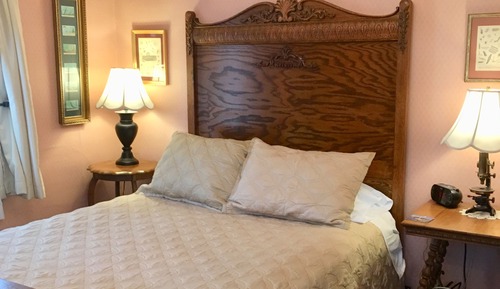 Standard Room, 1 Queen Bed, Non Smoking, Private Bathroom (The Amoeba Room)