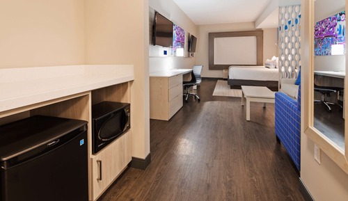 Standard Studio, 1 King Bed, Non Smoking, Refrigerator & Microwave (with Sofabed)