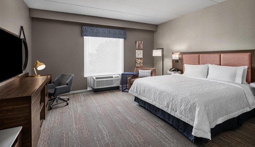 Room, 1 King Bed, Accessible (Roll-In Shower)