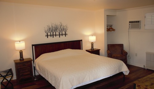 Standard Room, 1 King Bed, Non Smoking, Mountain View