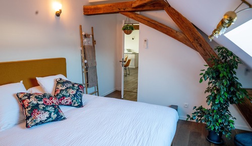 Comfort Double Room (Chaleureuse)