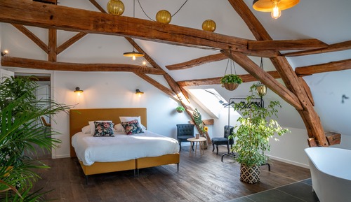 Exclusive Double Room (Chambre D'Amour)