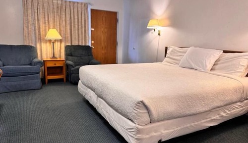 Comfort Single Room, 1 King Bed, Refrigerator & Microwave, Mountain View