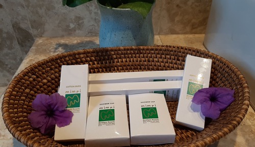 Courtyard Villa King with Garden View