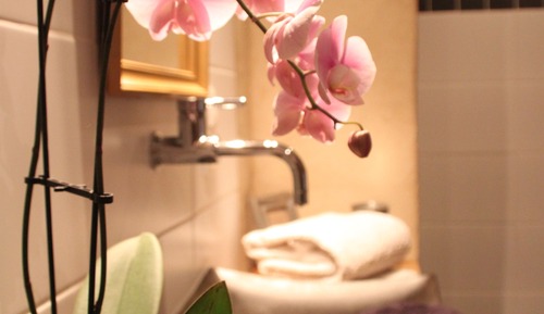 Double Room (Graine de lin)