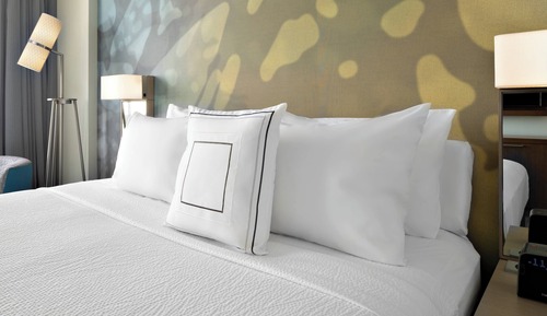 Room, 1 King Bed with Sofa bed