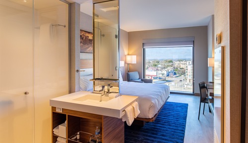 Room, 1 King Bed