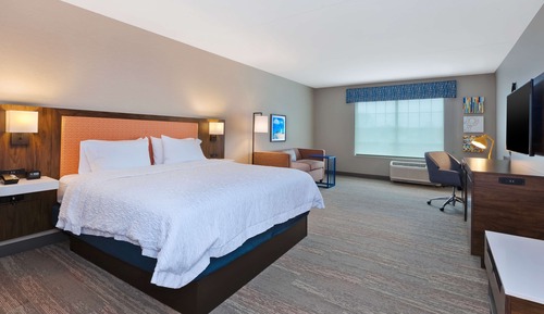 Studio, 1 King Bed, Refrigerator