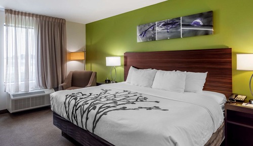 Standard Room, 1 King Bed, Non Smoking