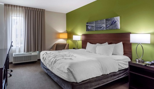 Room, 1 King Bed, Accessible, Non Smoking
