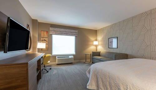 Room, 1 King Bed with Sofa bed