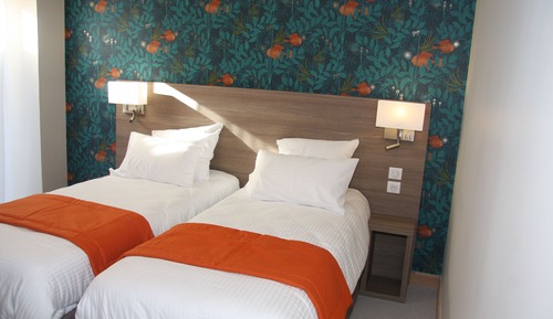 Twin Room (vue Rhone)