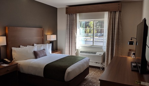 Room, 1 Queen Bed, Accessible