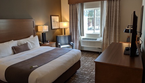 Standard Room, 1 King Bed (Single King)