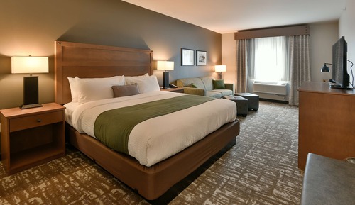 Deluxe Room, 1 King Bed with Sofa bed (Single King Deluxe)