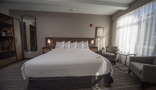 Room, 1 King Bed