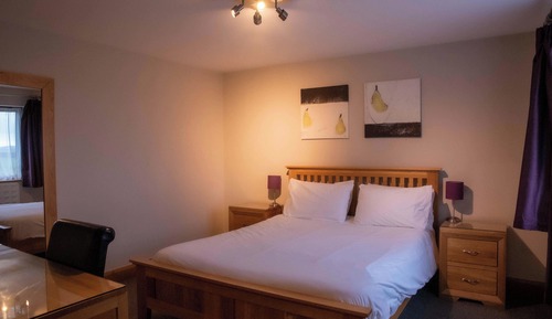 Executive Double Room, 1 Double Bed, Non Smoking (Field View)