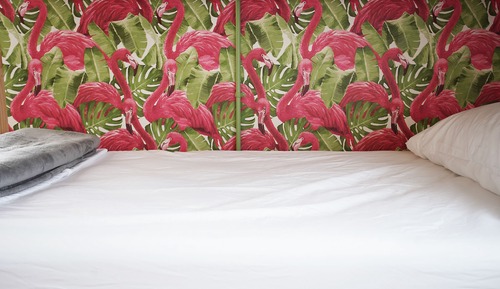 Shared Dormitory, Women only (6 Beds)