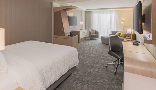 Suite, 1 King Bed with Sofa bed