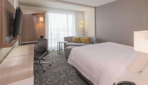 Room, 1 King Bed with Sofa bed
