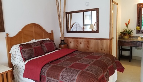 Premium Single Room, 1 Queen Bed with Sofa bed