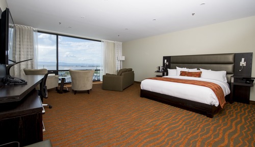 Mezzanine suite 1 king bed