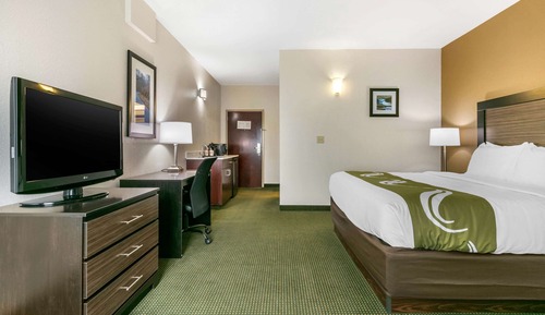 Standard Room, 1 King Bed, Non Smoking