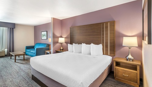 Suite, 1 King Bed, Non Smoking, Microwave