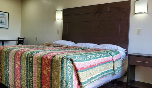 Single Room, 1 King Bed