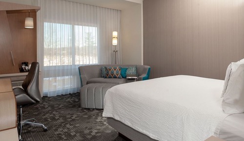 Room, 1 King Bed with Sofa bed (Mobility Accessible, Roll-In Shower)
