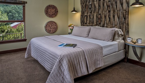 Room, 1 King Bed, Non Smoking