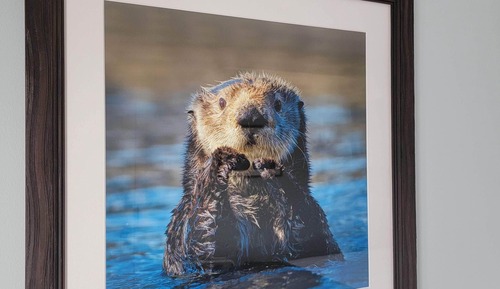 Deluxe king room (23, 27)