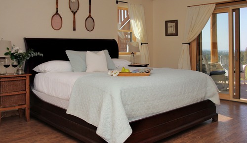 Premier Single Room, 1 King Bed, Non Smoking, Valley View