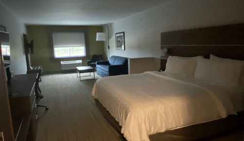 Suite, 1 King Bed with Sofa bed