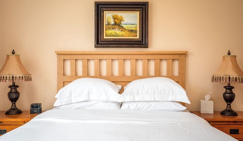 Superior Suite, 1 Queen Bed with Sofa bed