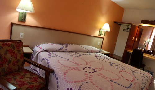 Room, 1 King Bed