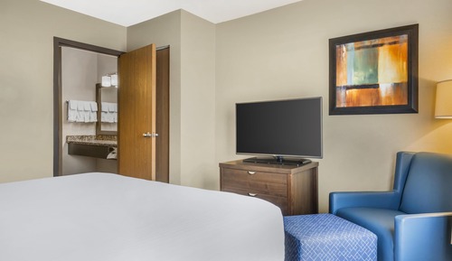 Suite, 1 King Bed, Non Smoking (Larger Room;with Sofabed)